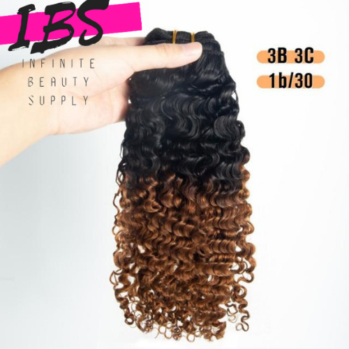 Afro Kinky Curly Clip In Human Hair Extensions 4B 4C/3B 3C Ombre Color 1B/27 and 1B/30